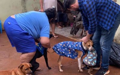 Campanha do agasalho para pets faz primeira entrega de peças