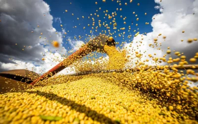 Produção de grãos deve atingir 272,5 milhões de toneladas, diz Conab