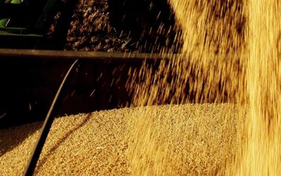 Governo anuncia Plano Safra 2022/23 com R$ 340,8 bilhões para pequenos, médios e grandes produtores rurais