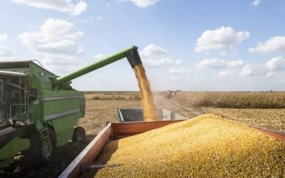 Produção de grãos deve atingir 272,5 milhões de toneladas, diz Conab