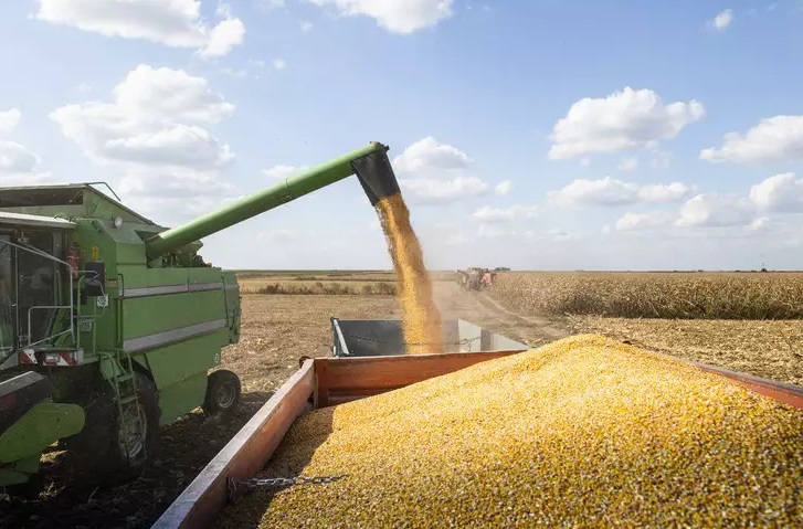 Produção de grãos deve atingir 272,5 milhões de toneladas, diz Conab